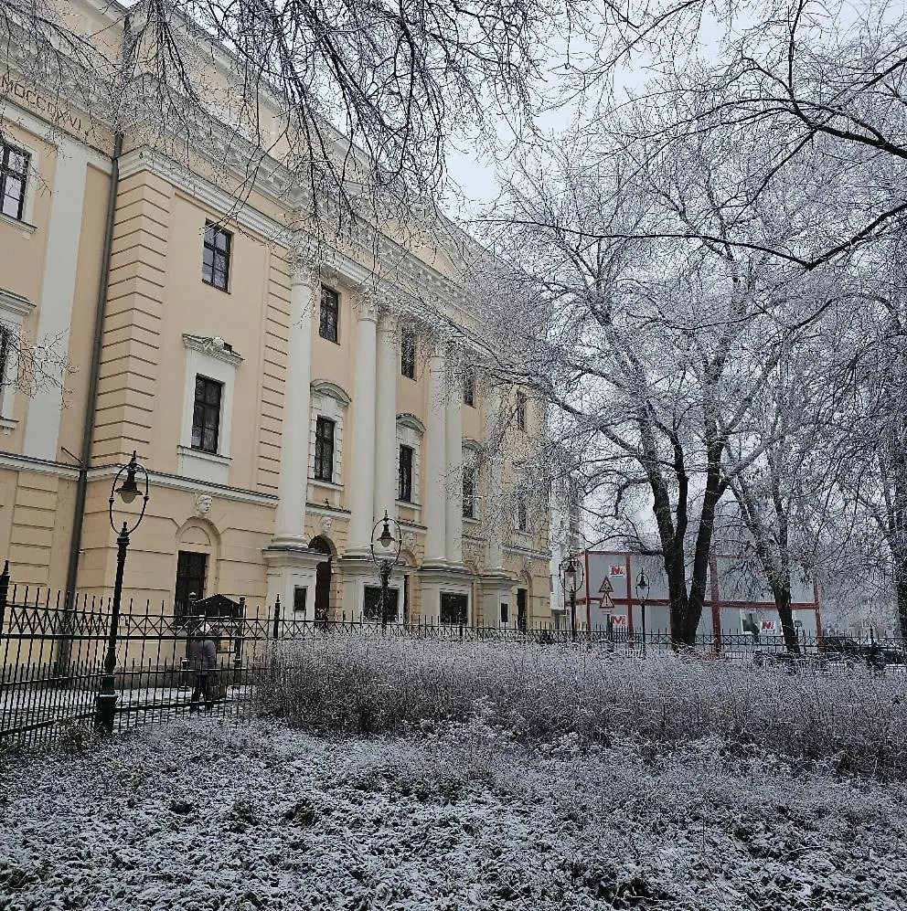 Great Forest Chill Apartment Three Debrecen