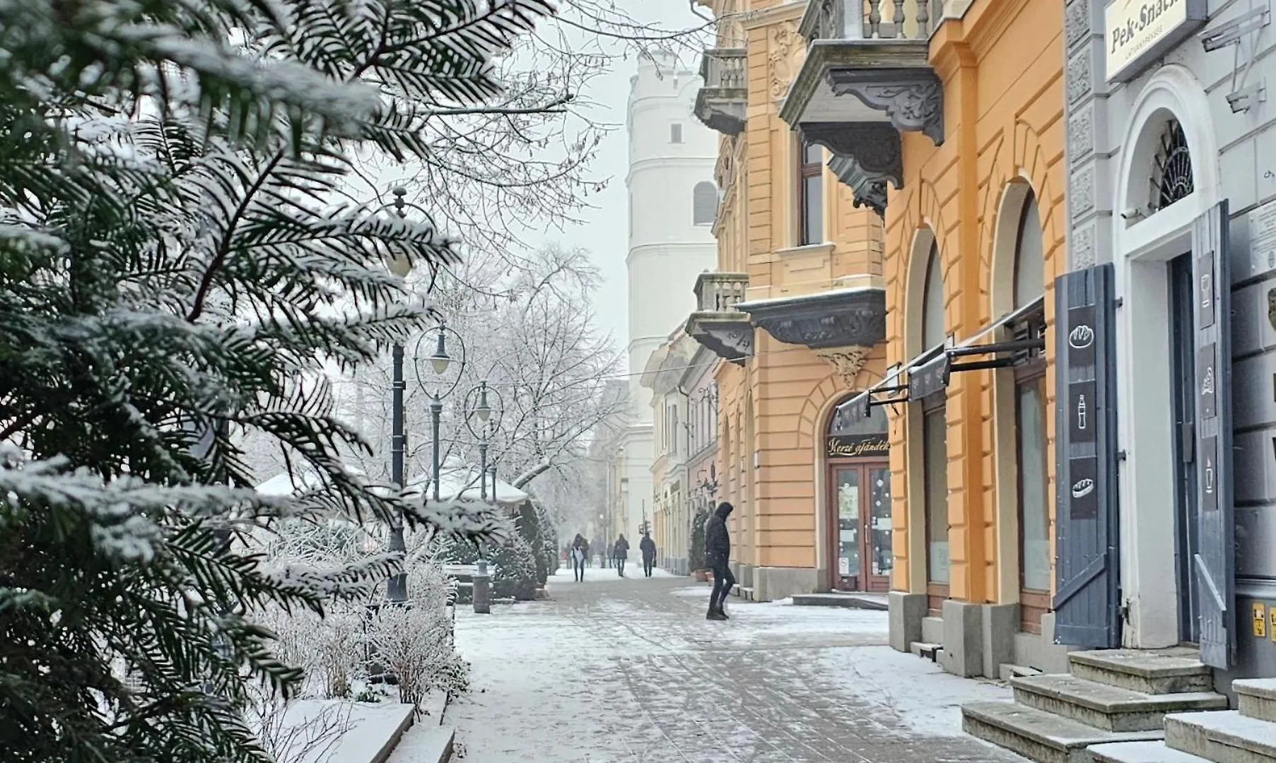Great Forest Chill Apartment Three Debrecen